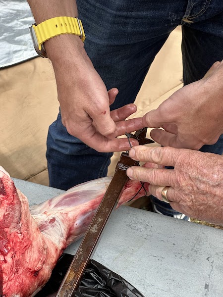 Securing the lamb to the cross